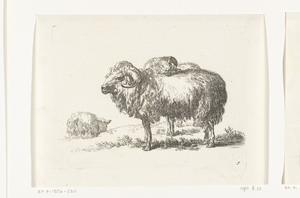 Two Goats and a Lying Sheep (Goats and Sheep after N.P. Berchem) by Anonymous