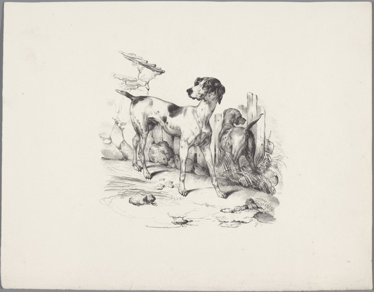 Two Dogs by a Fence by Anonymous