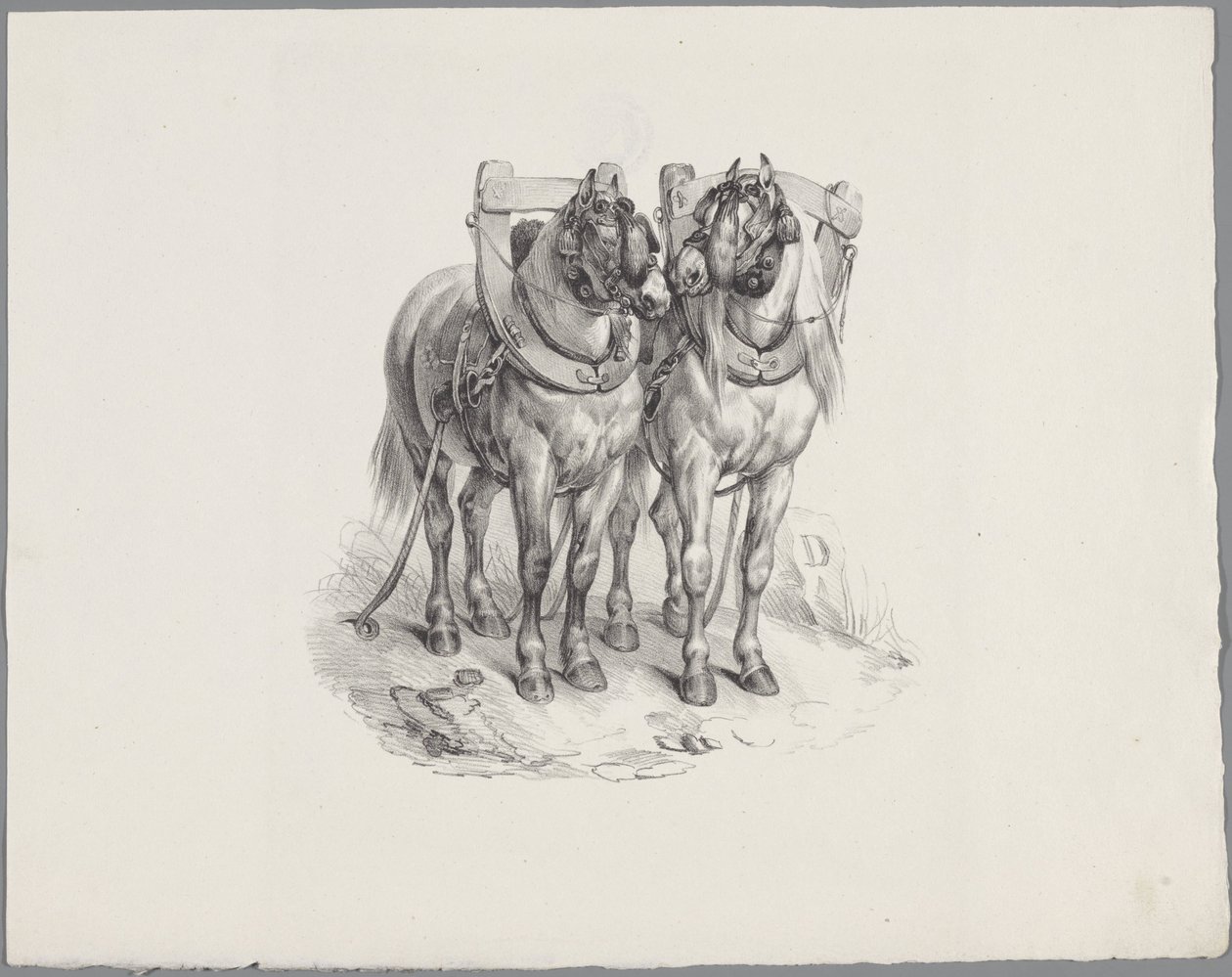 Two Harnessed Horses by Anonymous