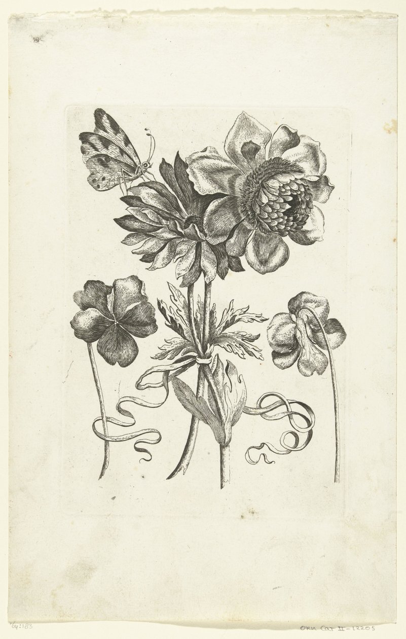 Four Flowers, Including Two Violets Novae Florum Icones (series title) by Anonymous