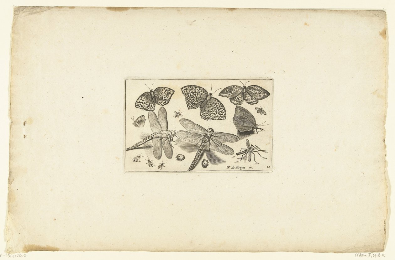 Butterflies and Dragonflies (series title) by Anonymous