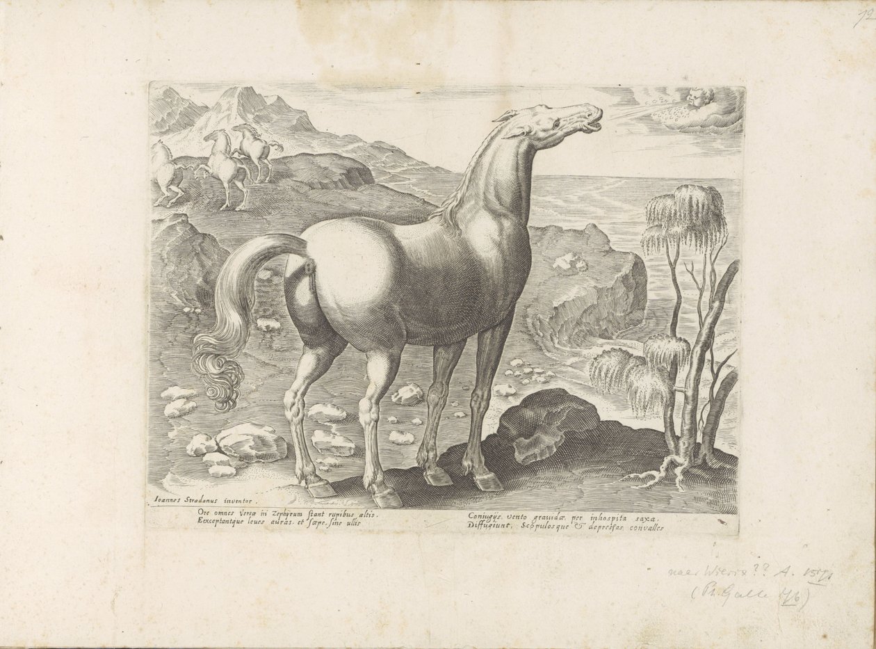 Zephyrus Impregnates a Mare (Horse Breeds from the Royal Stables of Don Juan of Austria) by Anonymous