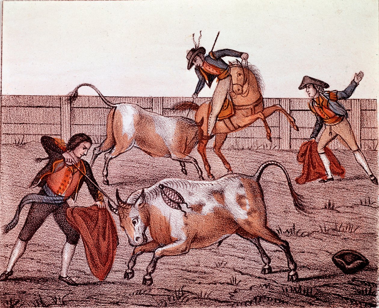 Bulls Hunting Scene by Anonymous Anonymous