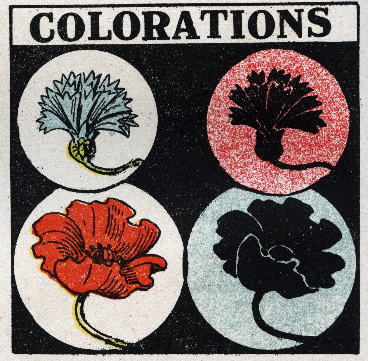Colours: Colours by Anonymous Anonymous