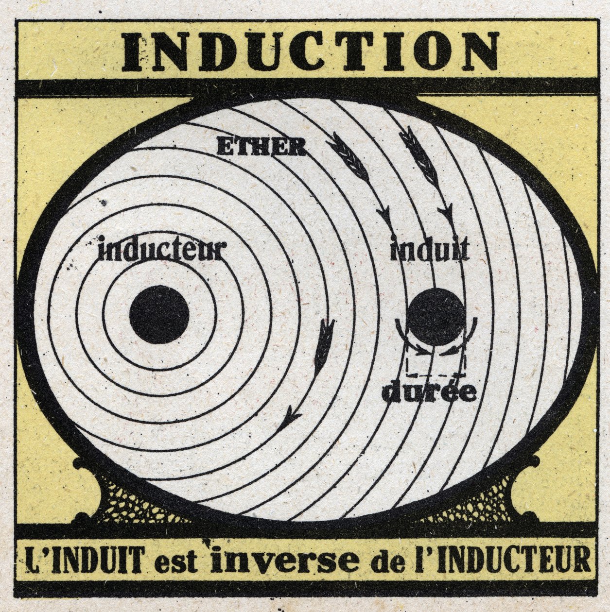 Electrical phenomena: induction. The induced is the inverse of the inductor by Anonymous Anonymous