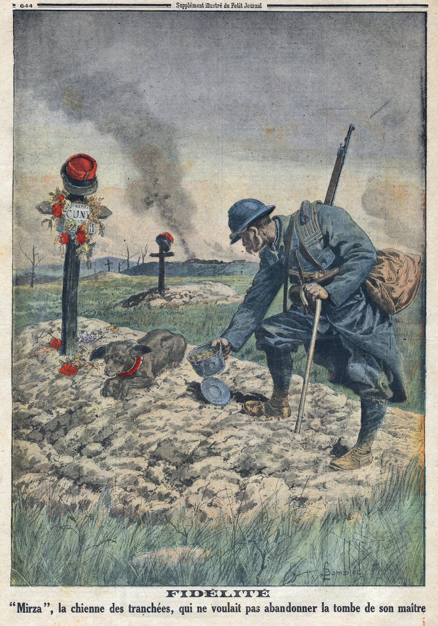 First World War 1914-1918. A dog refusing to abandon the grave of her dead master in the trench - In 