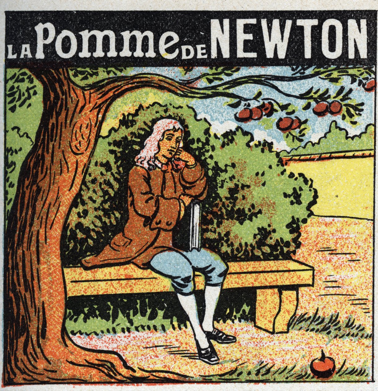 Gravitation: Newton