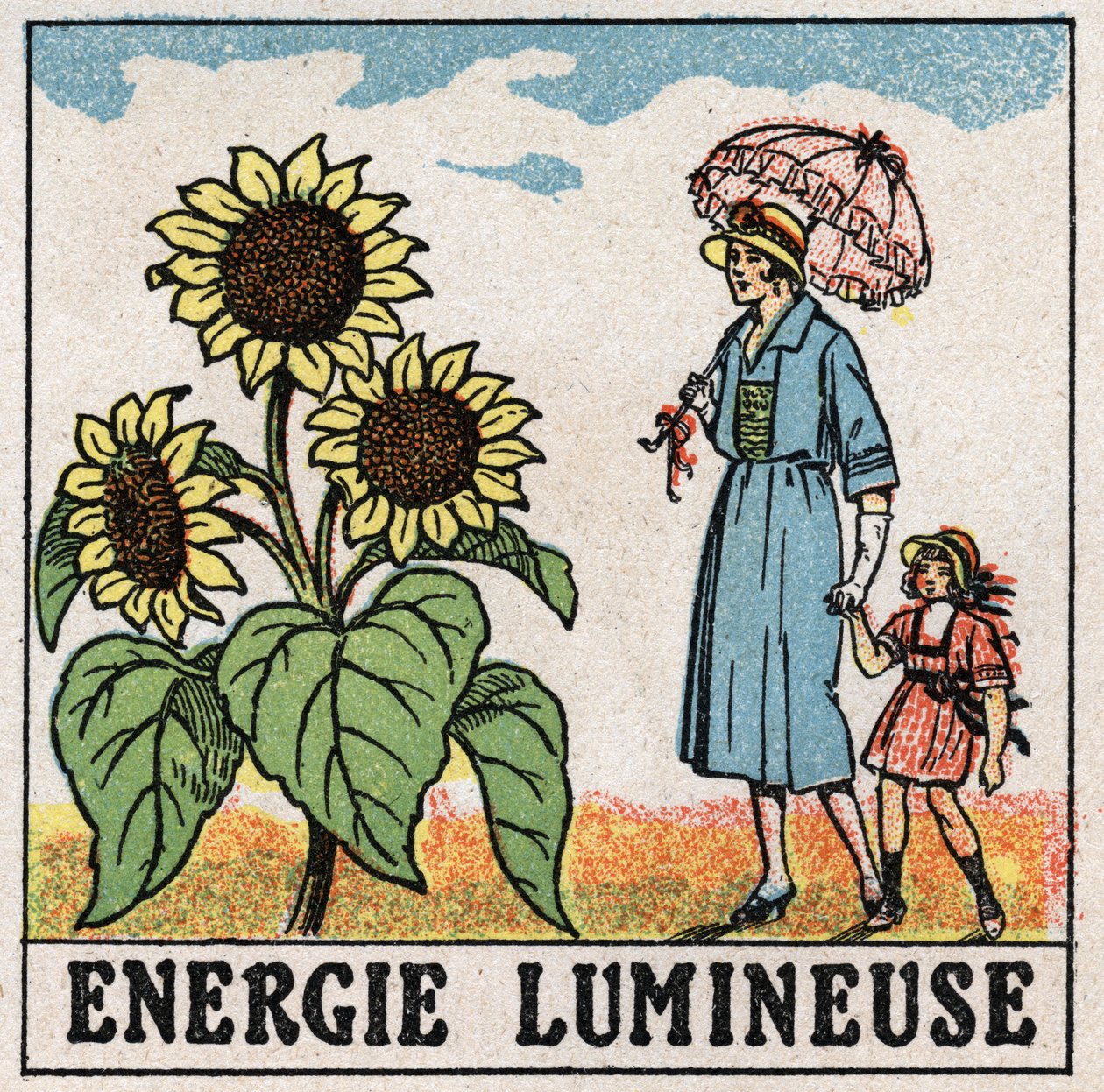 Light energy: sunflower is influenced by sunlight. Anonymous illustration from 1925. Private collection. by Anonymous Anonymous