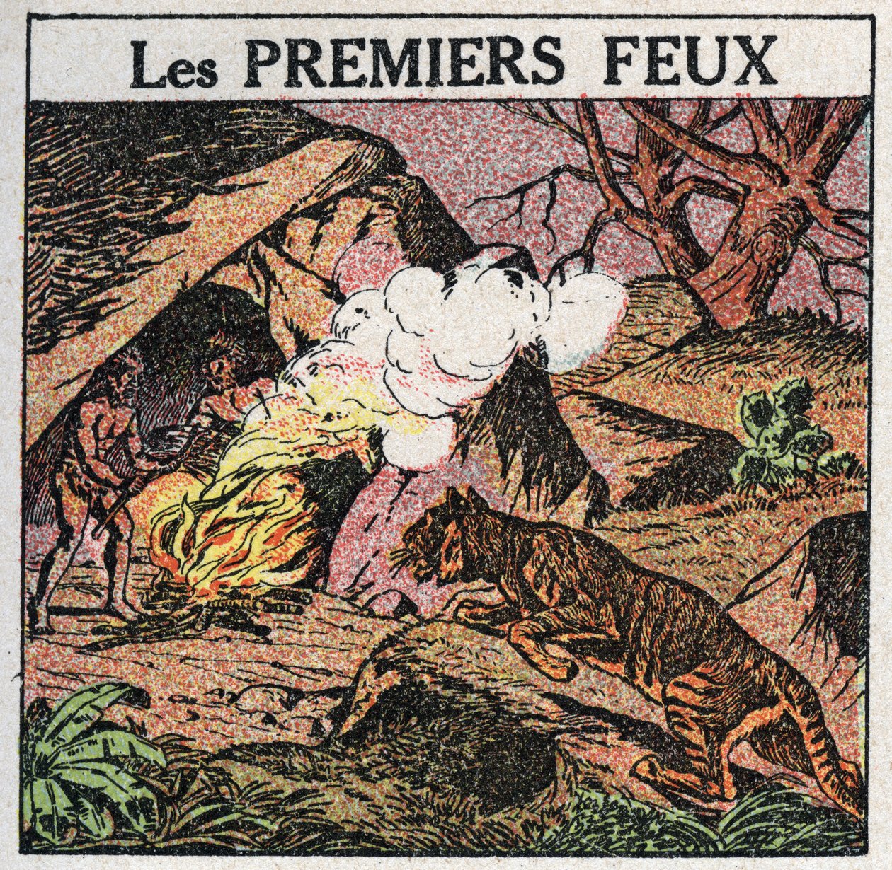 Light sources: the first fires of prehistoric men by Anonymous Anonymous