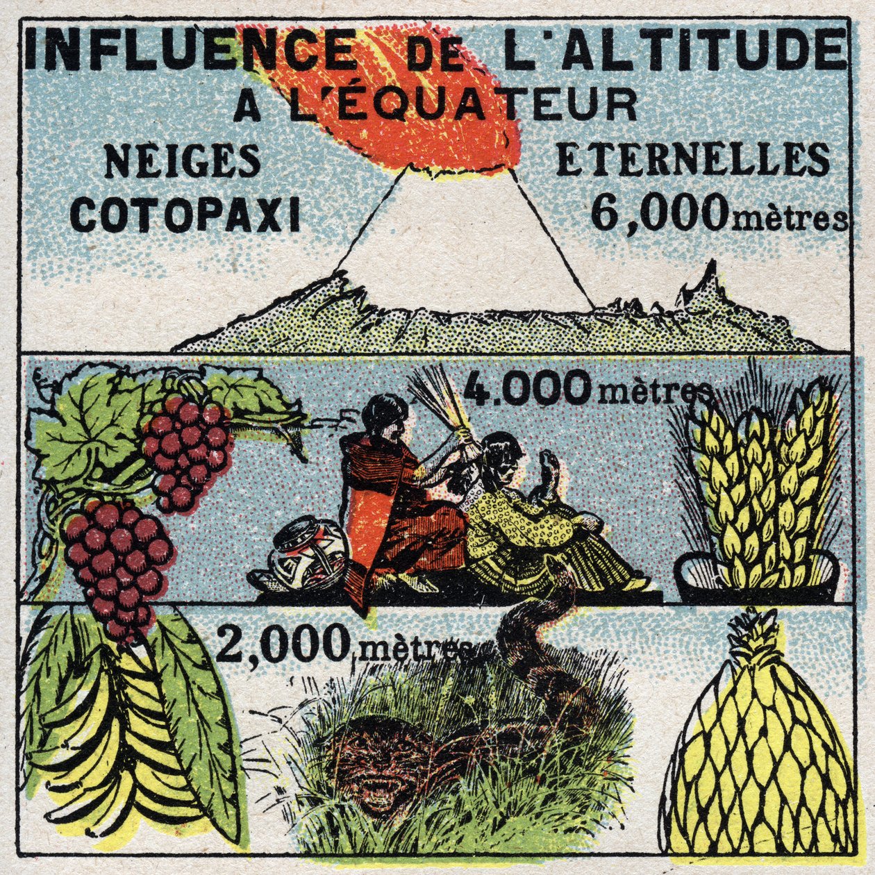 Meteorology: influence of altitude on climate. Anonymous illustration from 1925. Private collection. by Anonymous Anonymous