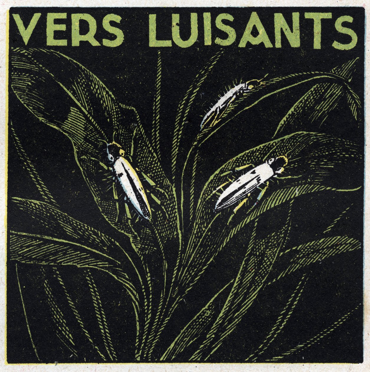 Phosphorescence: glowing greens. Anonymous illustration from 1925. Private collection. by Anonymous Anonymous