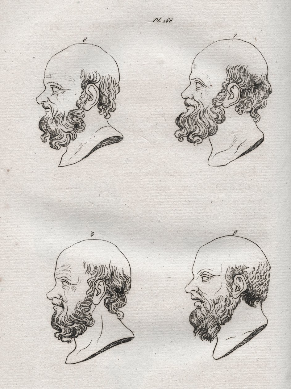 Physiognomy - Several heads of the Greek philosopher Socrates (ca. 469 BC-399 BC) - engraving of 1808 in 