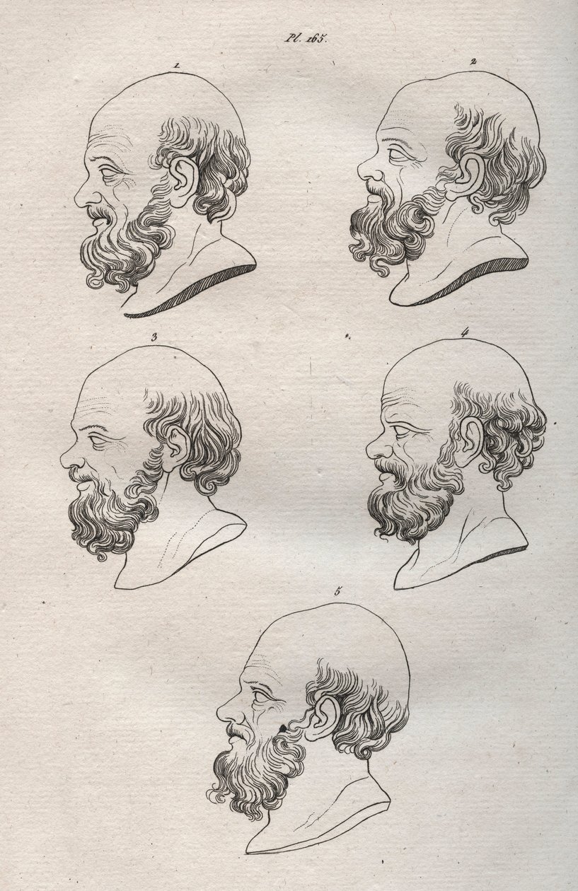 Physiognomy - Several Heads of the Greek Philosopher Socrates (ca. 469 BC-399 BC) - engraving of 1808 in 