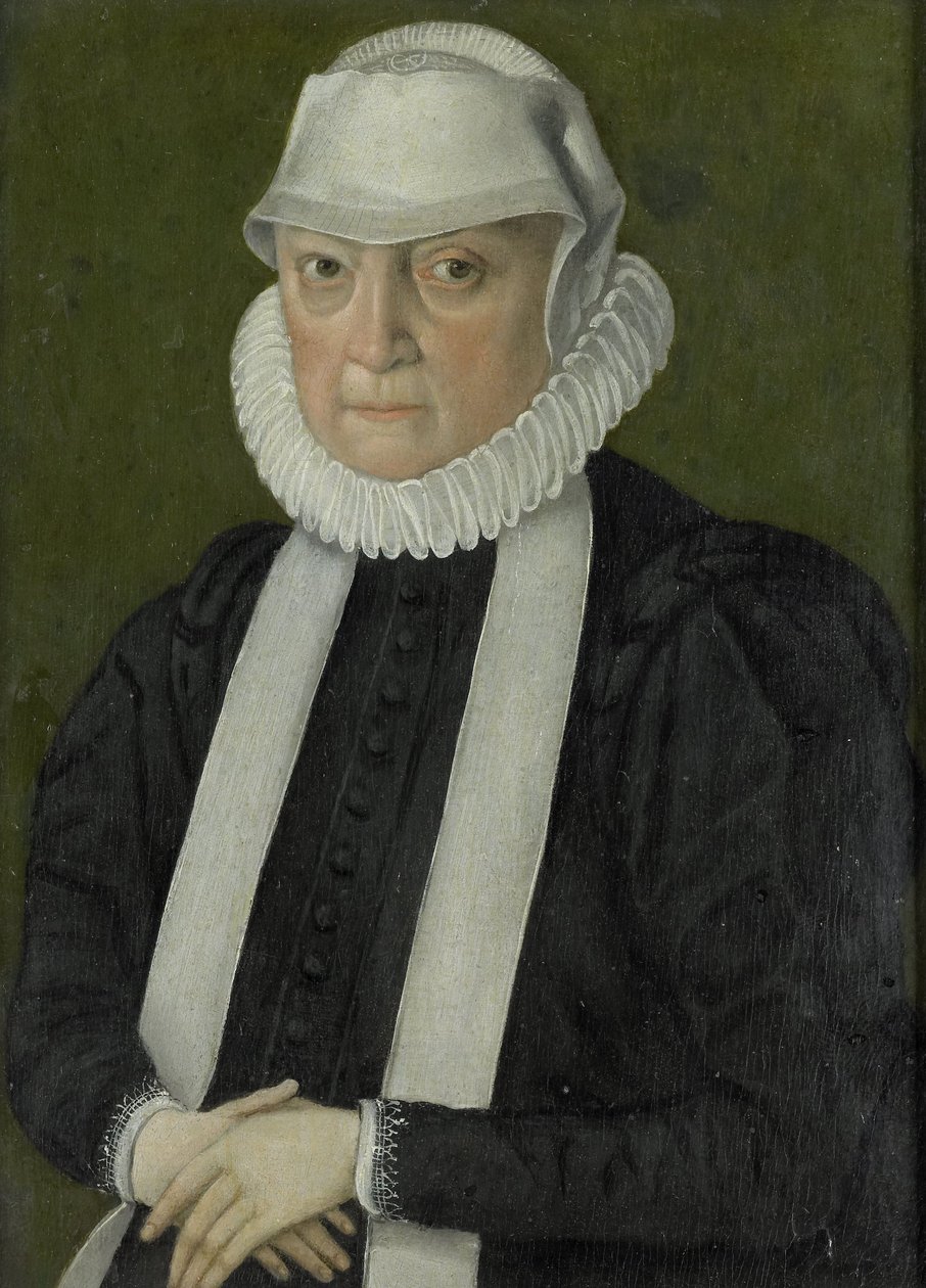Portrait of a Woman, Probably Anna Jagellonia, Queen of Poland by Anonymous Anonymous
