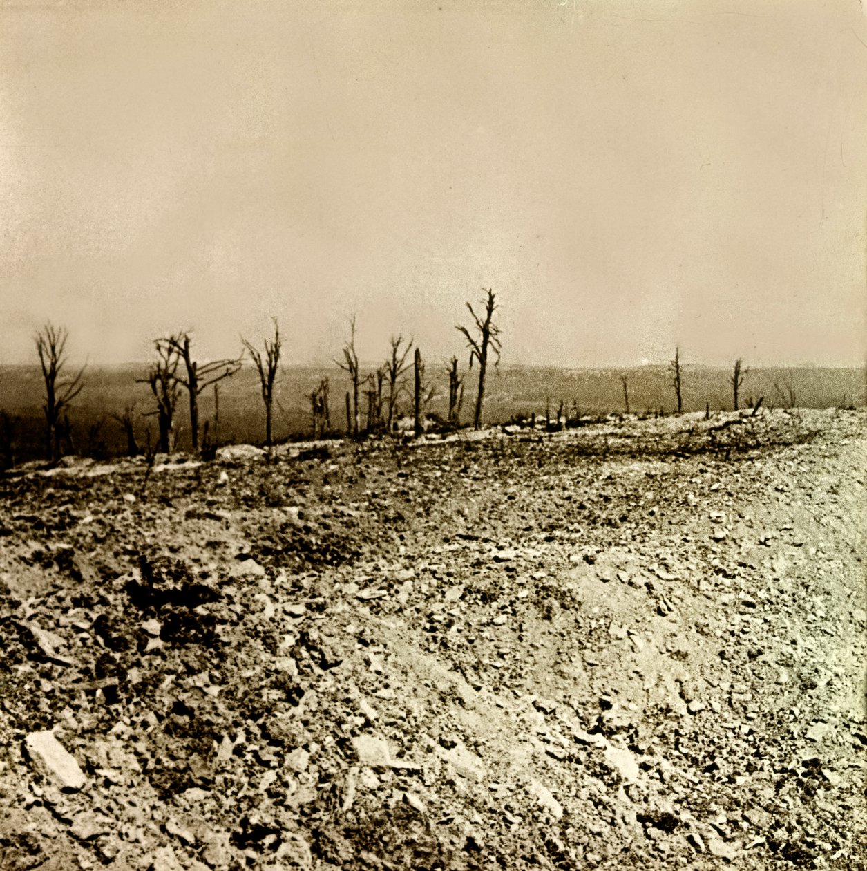 Stereoscopic glass plate on the First World War by Anonymous Anonymous