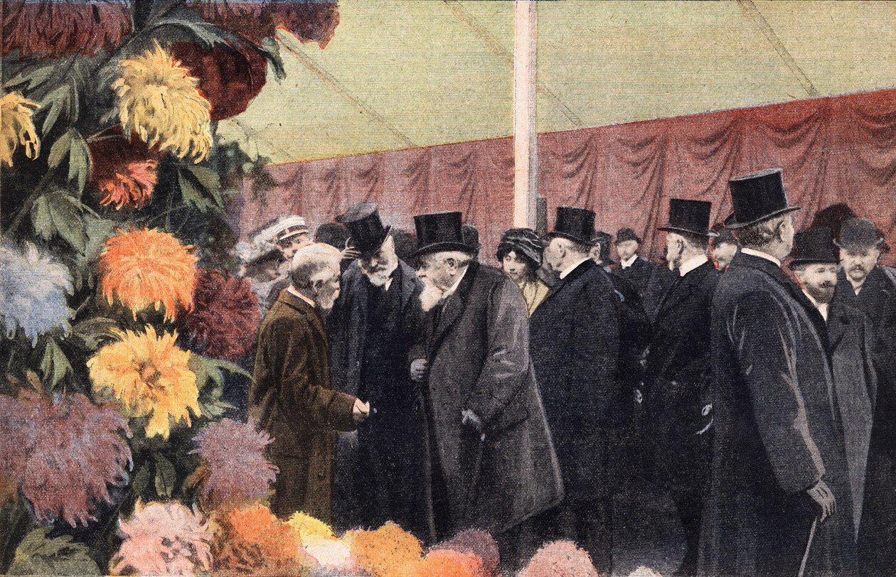 The Chrysanthemum Party: Official Chrysanthemum Exhibition (engraving) by Anonymous Anonymous
