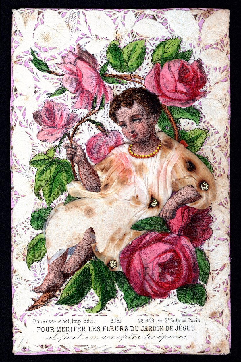 To merit the flowers of the garden of Jesus you must accept the thorns of them by Anonymous Anonymous