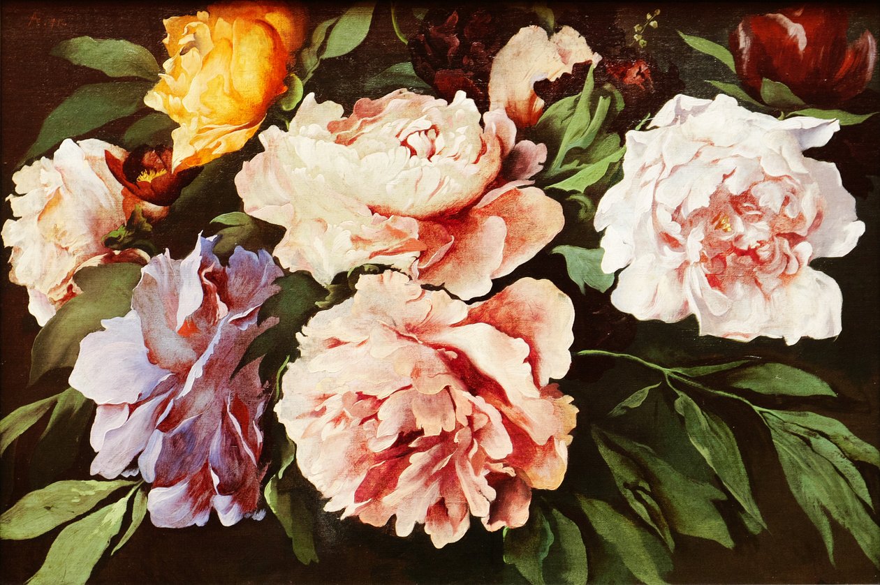 Peonies by Anselm Feuerbach