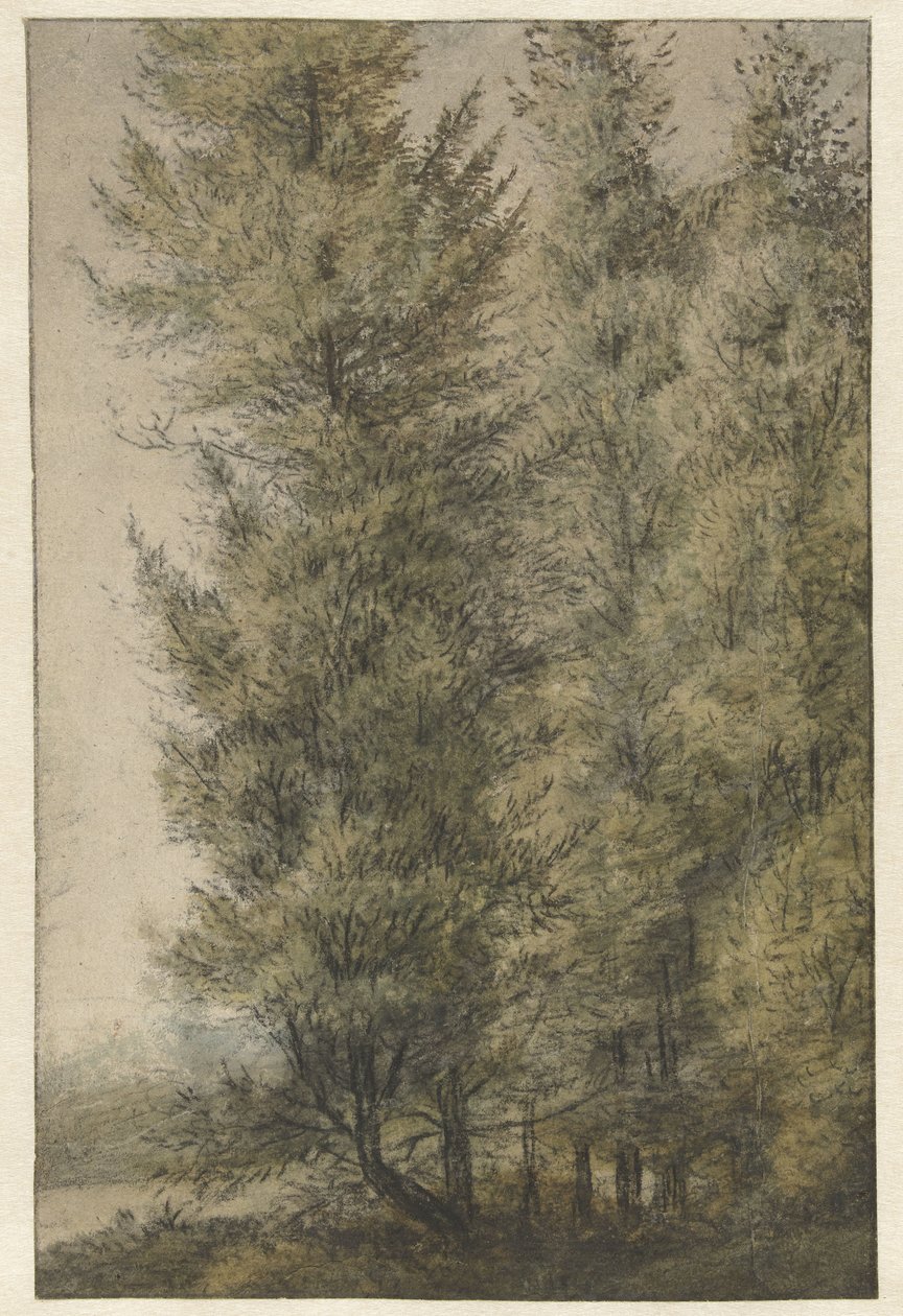 Tall Pines at the Edge of a Forest by Anthonie Waterloo