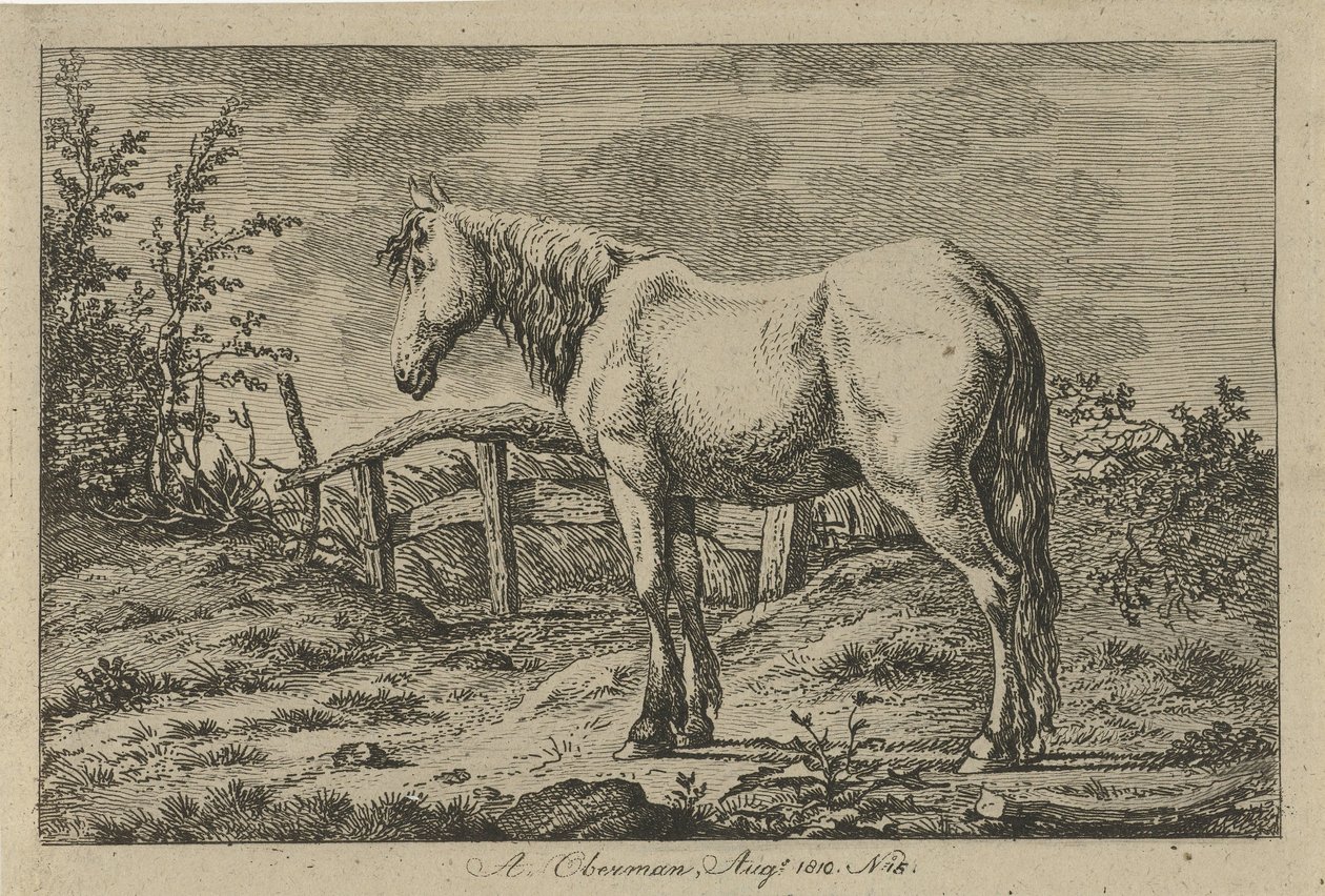 Standing Horse by Anthony Oberman