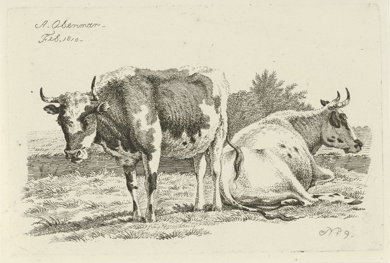 Standing and Lying Cow (Studies of Cows, Sheep, and Goats) by Anthony Oberman