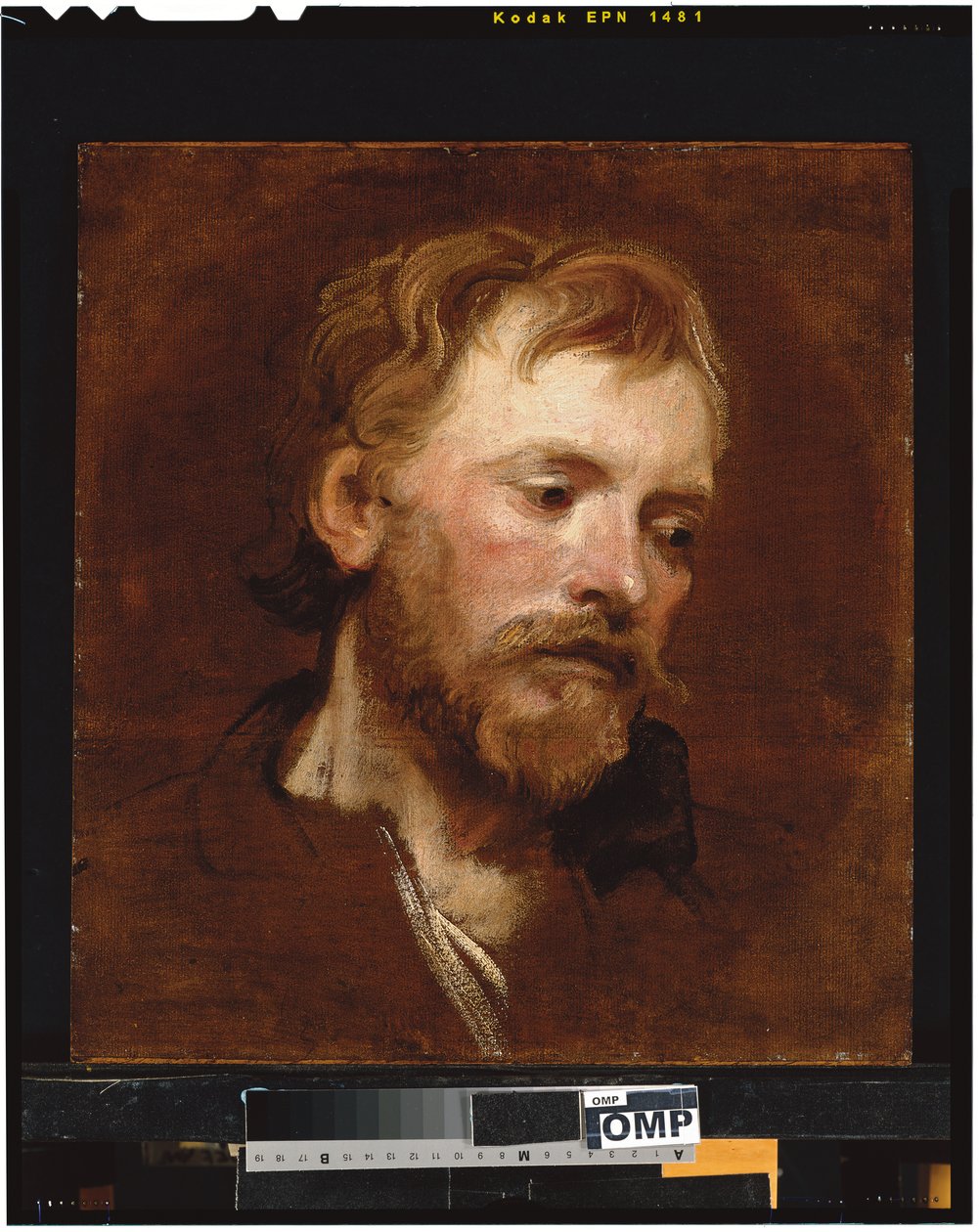A Bearded Man, a Study by Anthony van Dyck