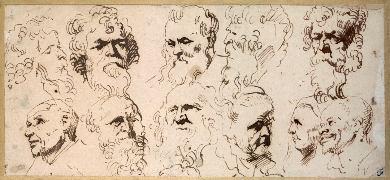 Eleven Head Studies by Anthony van Dyck