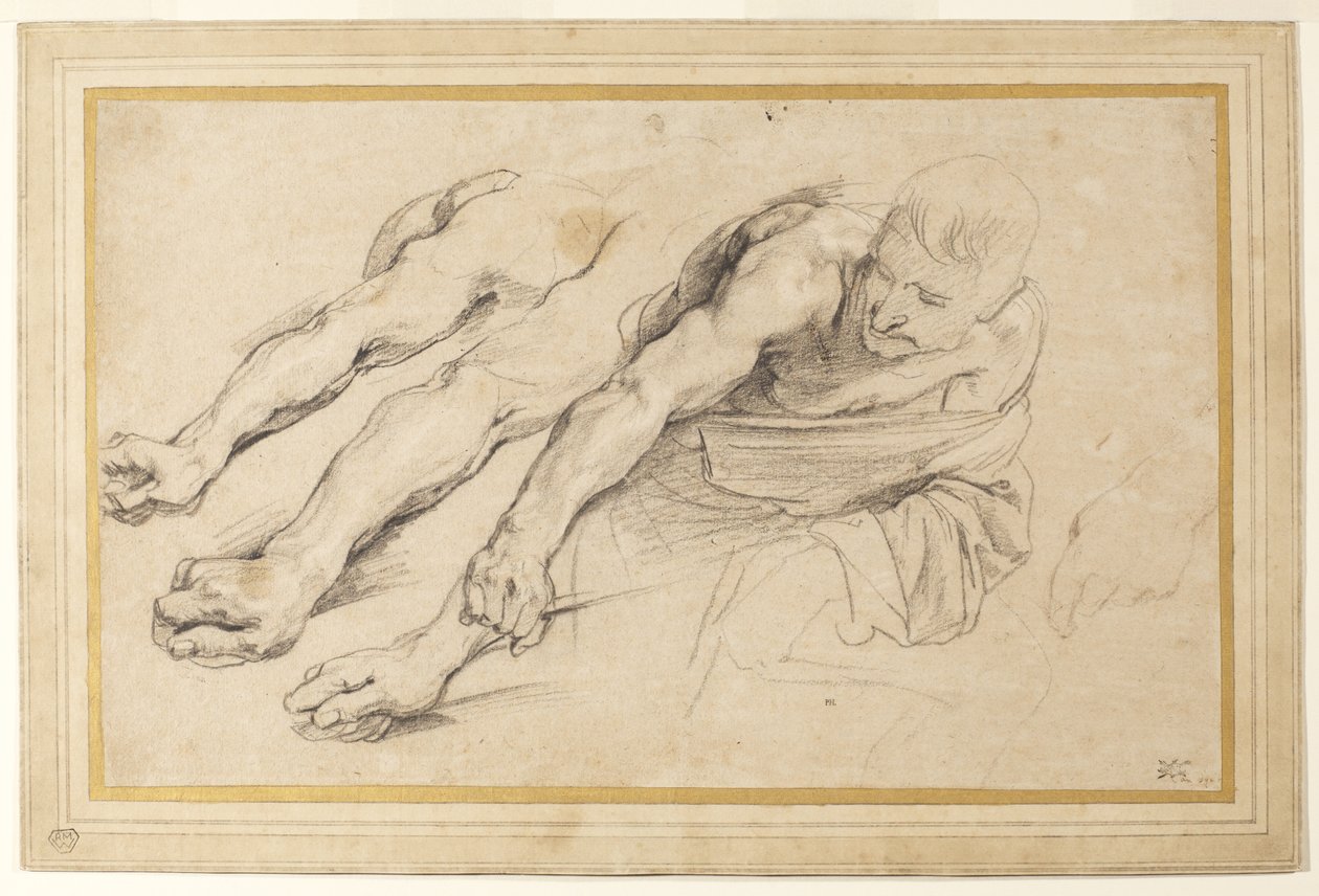 Figure of a man bending forward with the right arm outstretched; three studies of the right arm, and one of the left hand for the same figure by Anthony van Dyck