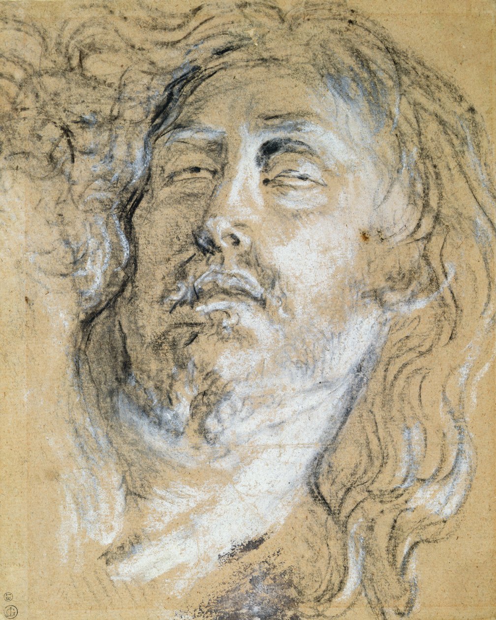 Head of the Dead Christ by Anthony van Dyck