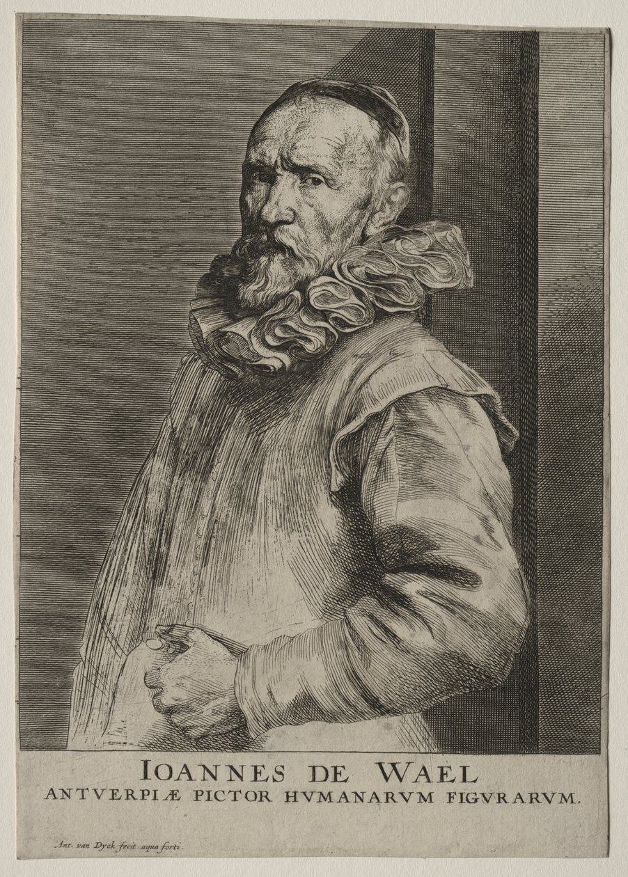 Portrait of Jan de Wael Nevers by Anthony van Dyck
