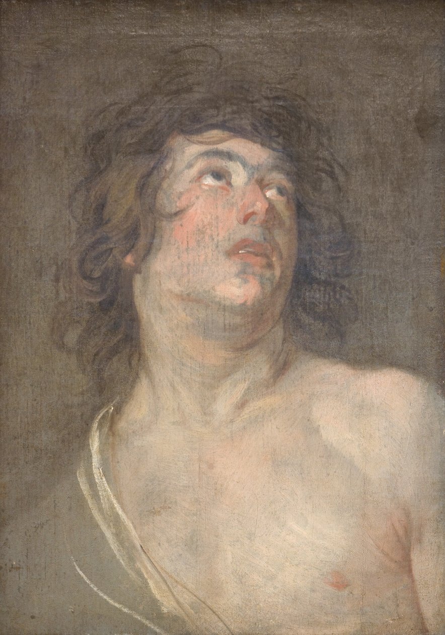 Study Head of a Young Man Looking Upwards. St Sebastian by Anthony van Dyck
