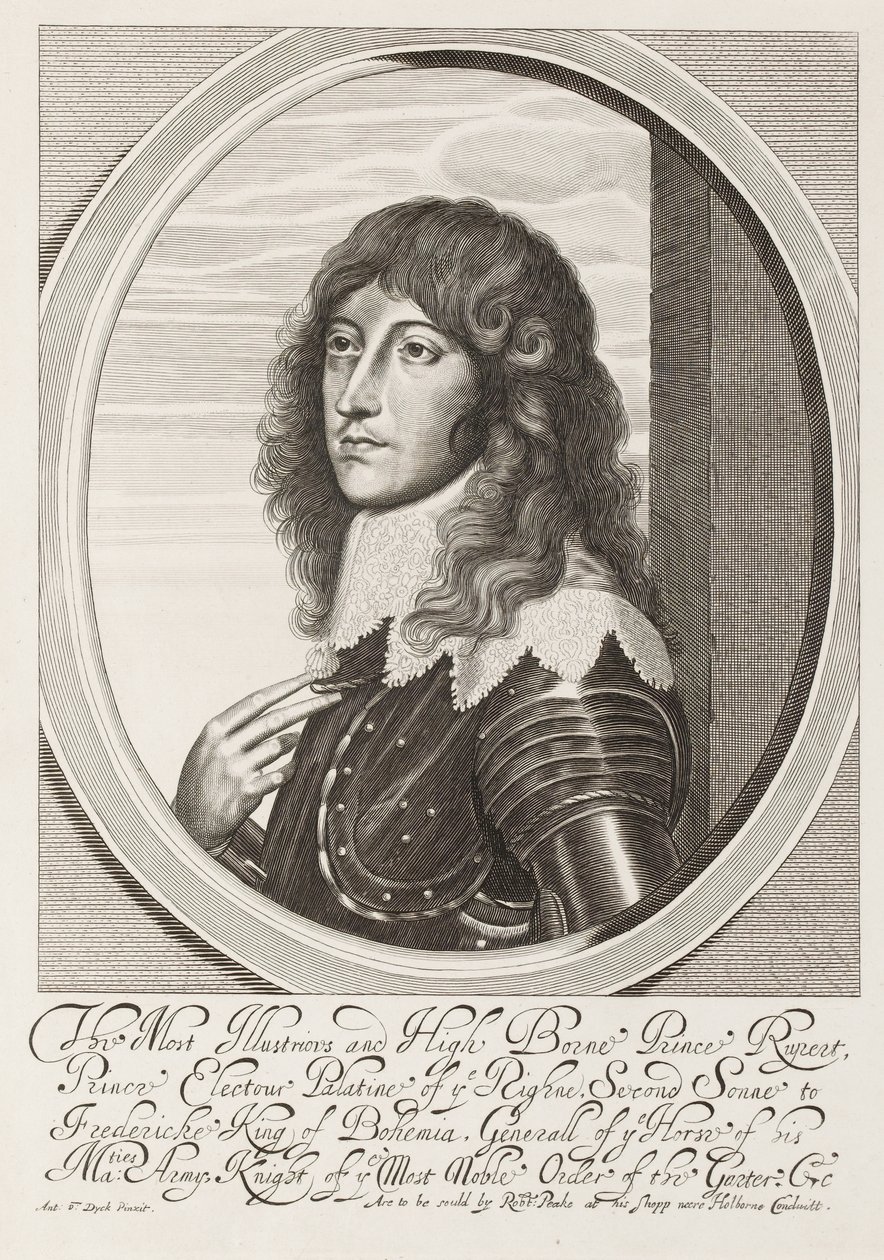 The Most Illustrious and High Born Prince Rupert by Anthony van Dyck