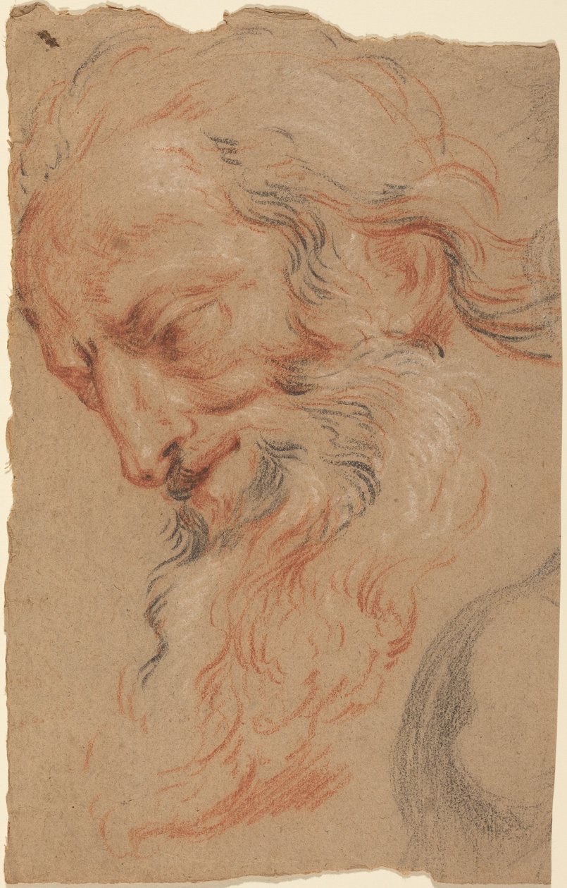 Head of an Old Man by Antoine Coypel