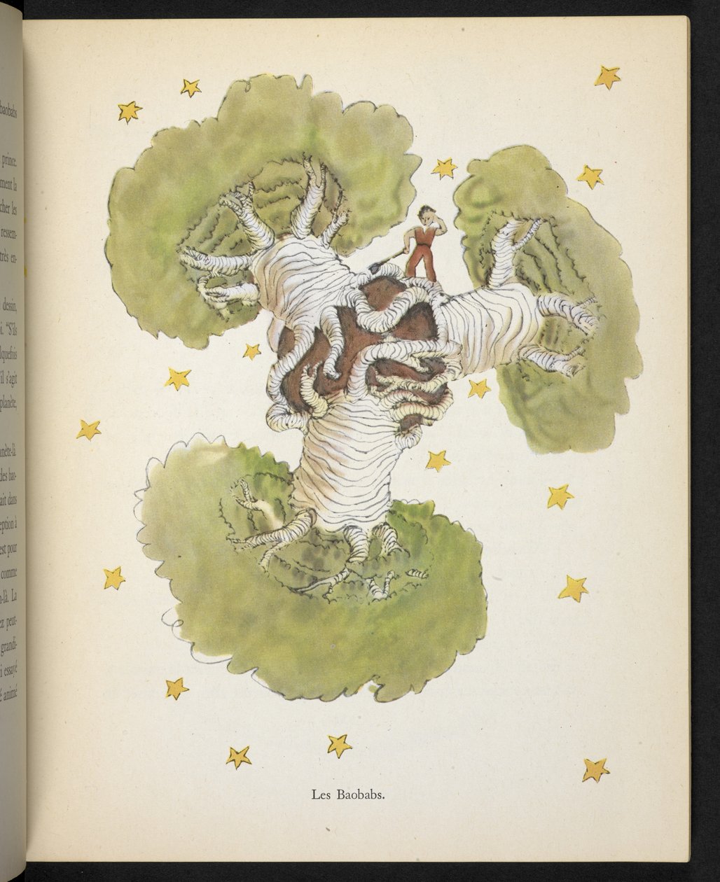 The Baobabs, illustration from 'Le Petit Prince', by Antoine