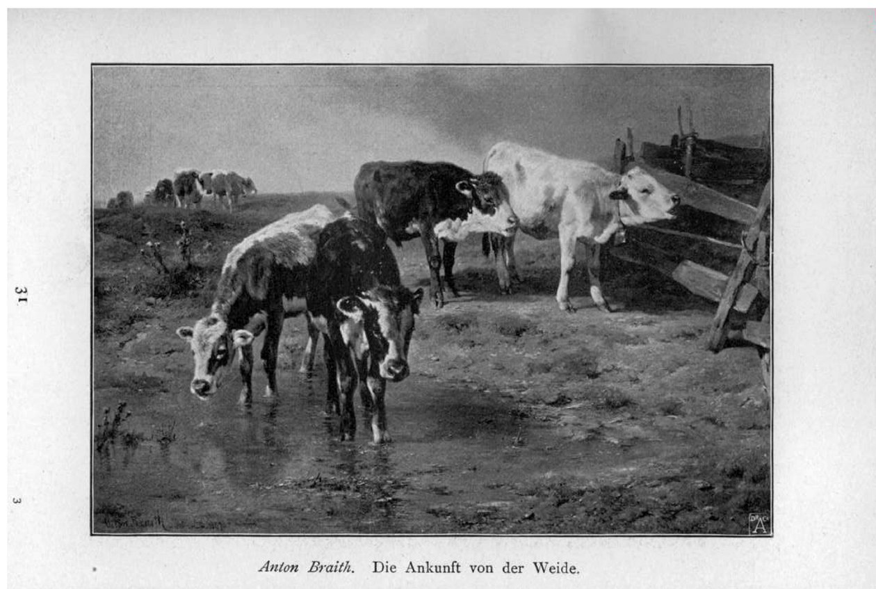 The Arrival from the Pasture by Anton Braith