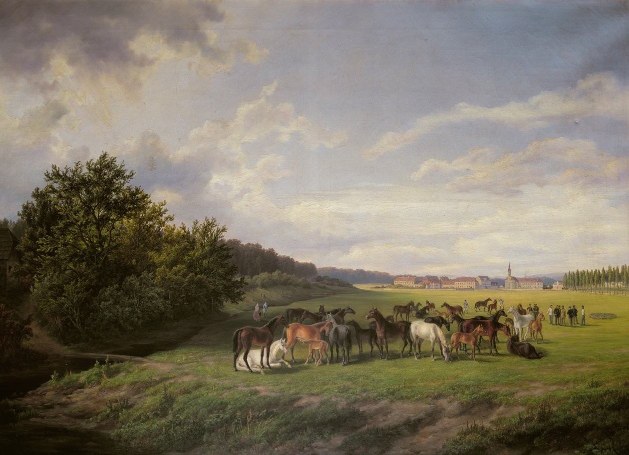 View of the Kladrub Studfarm in Bohemia, 1850 by Anton Schiffer