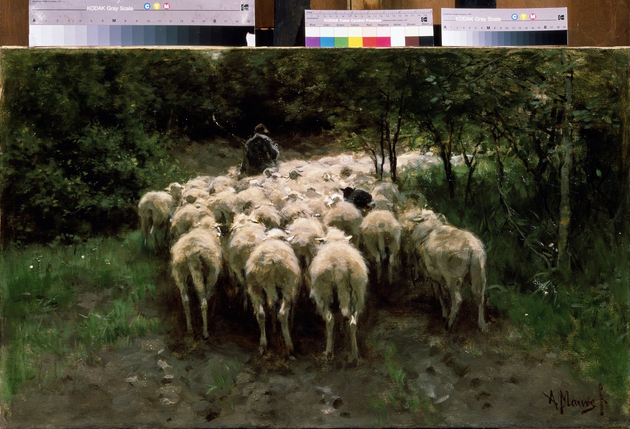 Sheep in the Forest by Anton Mauve