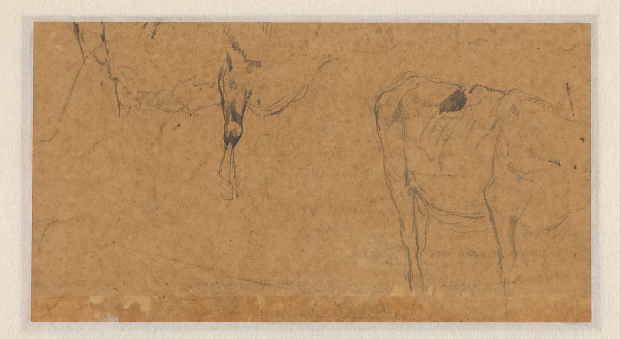 Two Sketches of Cows by Anton Mauve