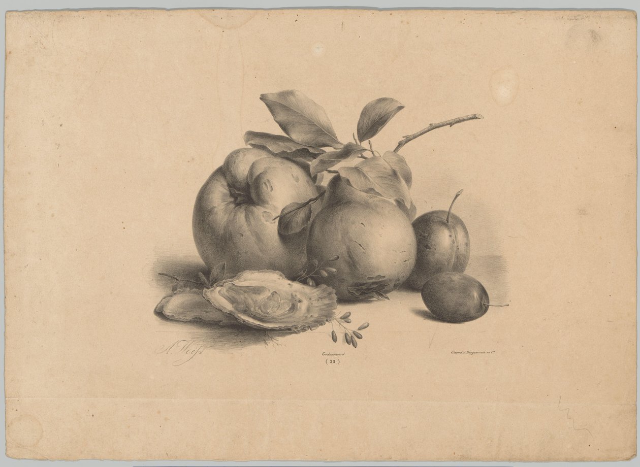 Fruit, Plums, and Oysters (Flower and Fruit Studies, 10th Issue) by Anton Weiss