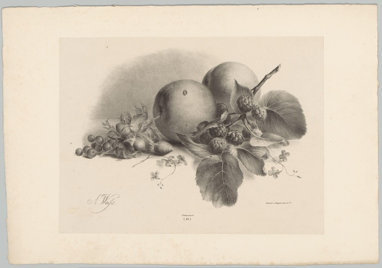 Peaches, Berries, Hazelnuts, and Blackberries by Anton Weiss