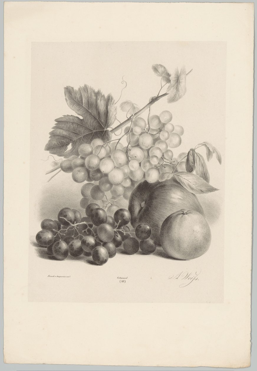 Red and White Grapes and Apples (Flower and Fruit Studies) (10th installment) (series title) by Anton Weiss