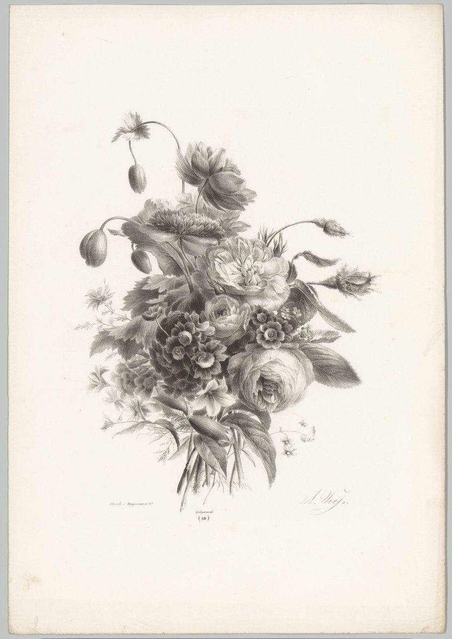 Roses and Other Flowers (Flower and Fruit Studies, 10th Issue) by Anton Weiss