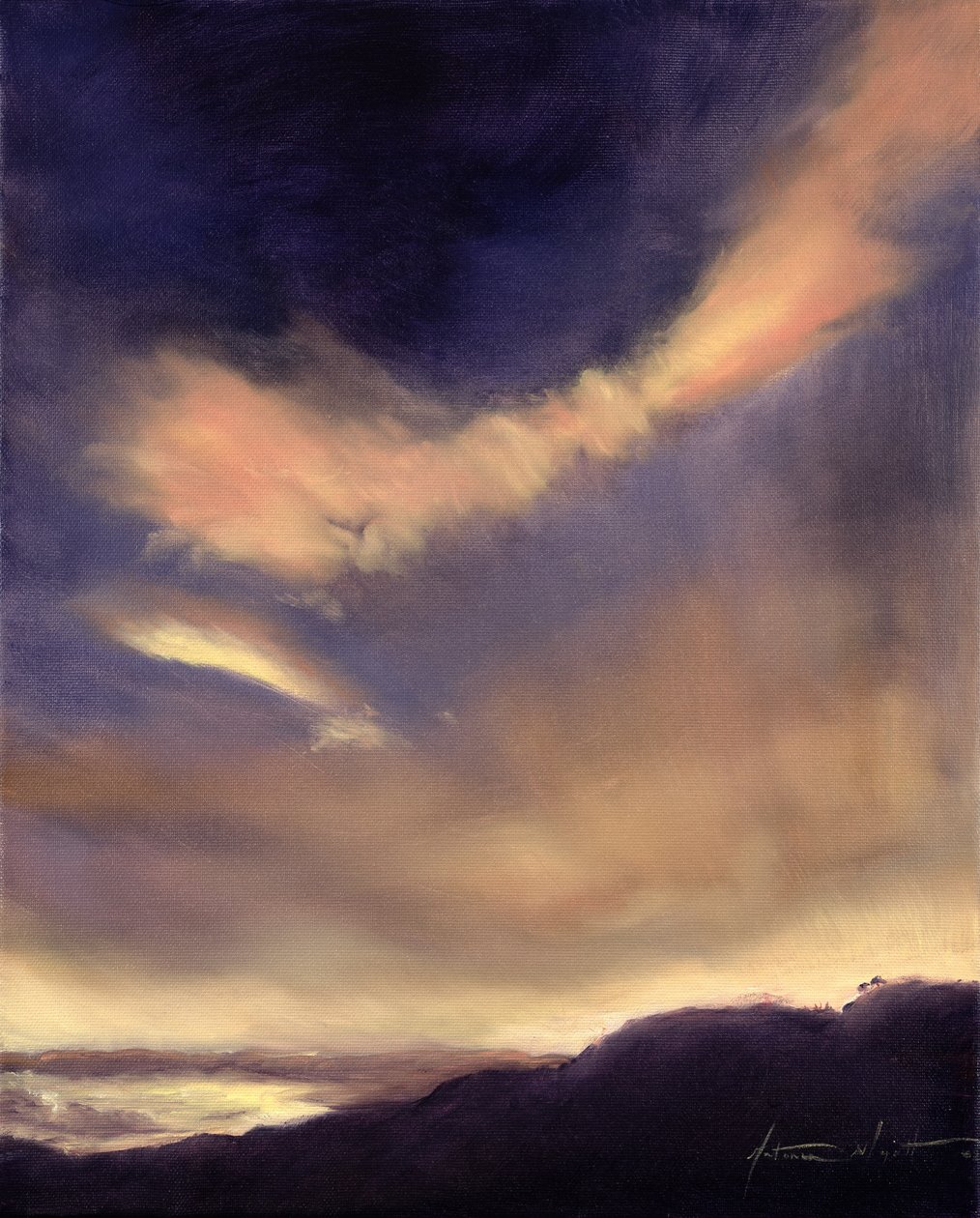 Butterfly Clouds by Antonia Myatt