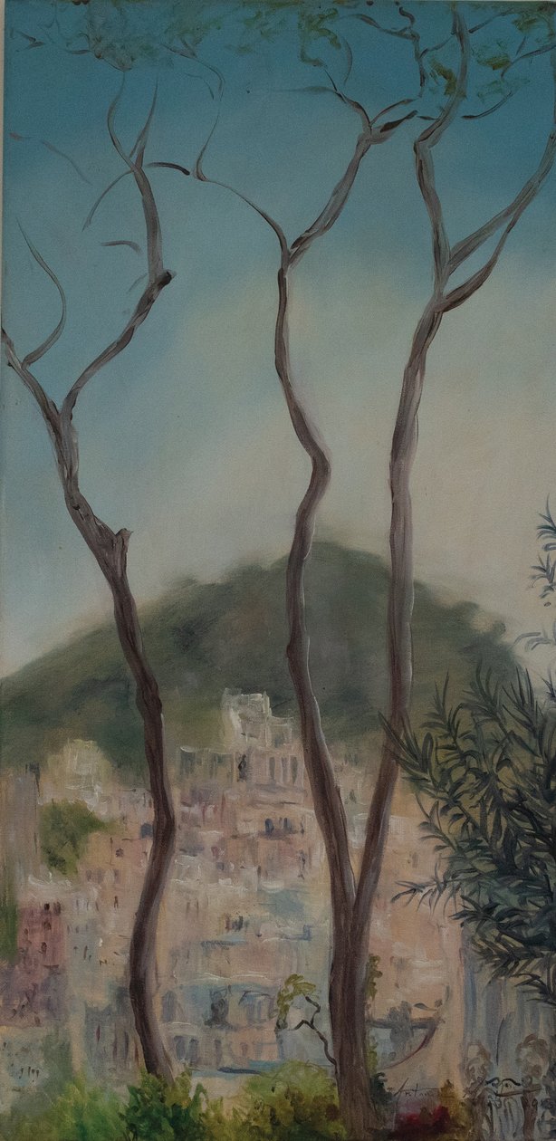 Italian trees, Amalfi coast, 2018 by Antonia Myatt