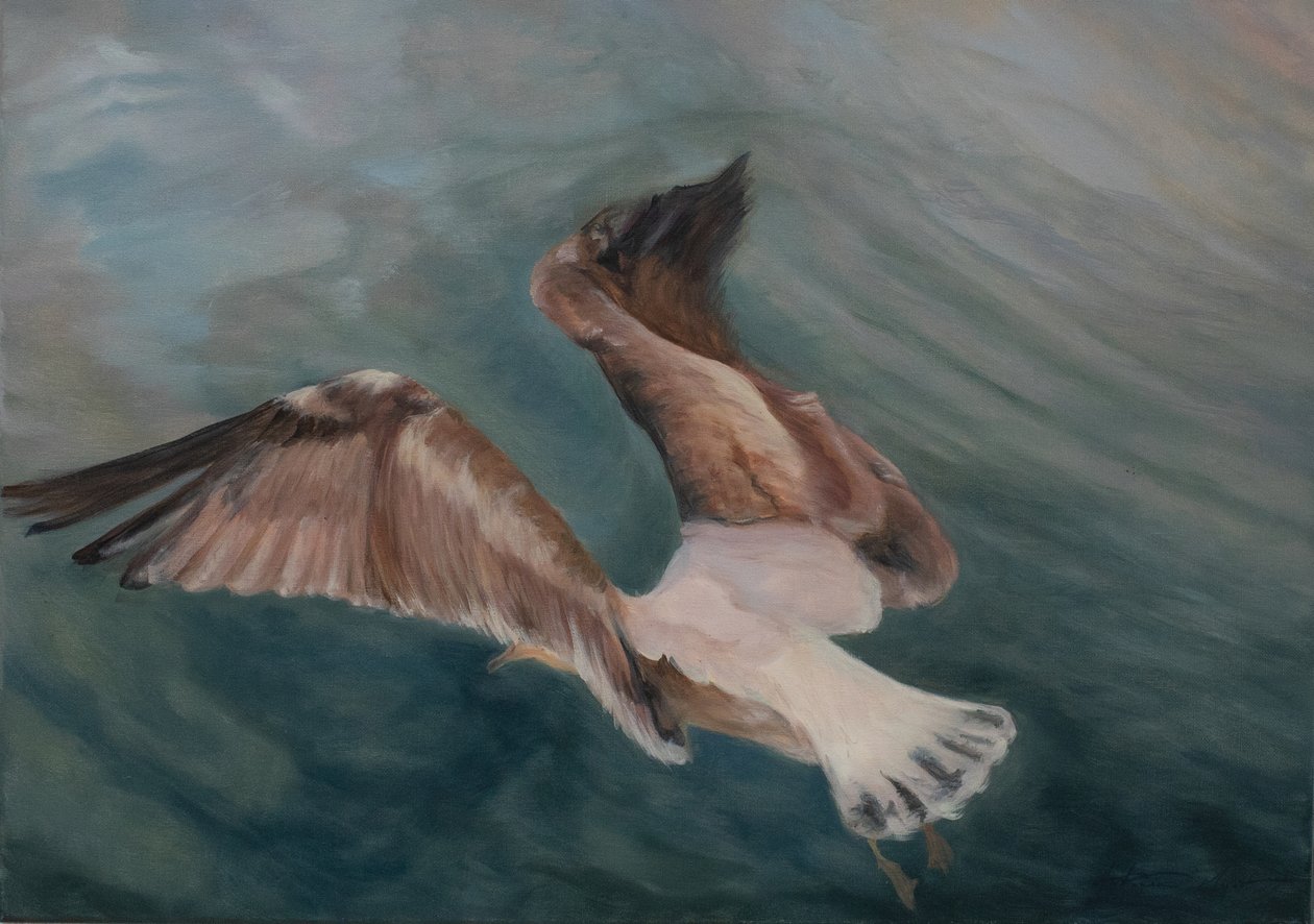Seagull Coming into Land, 2012 by Antonia Myatt