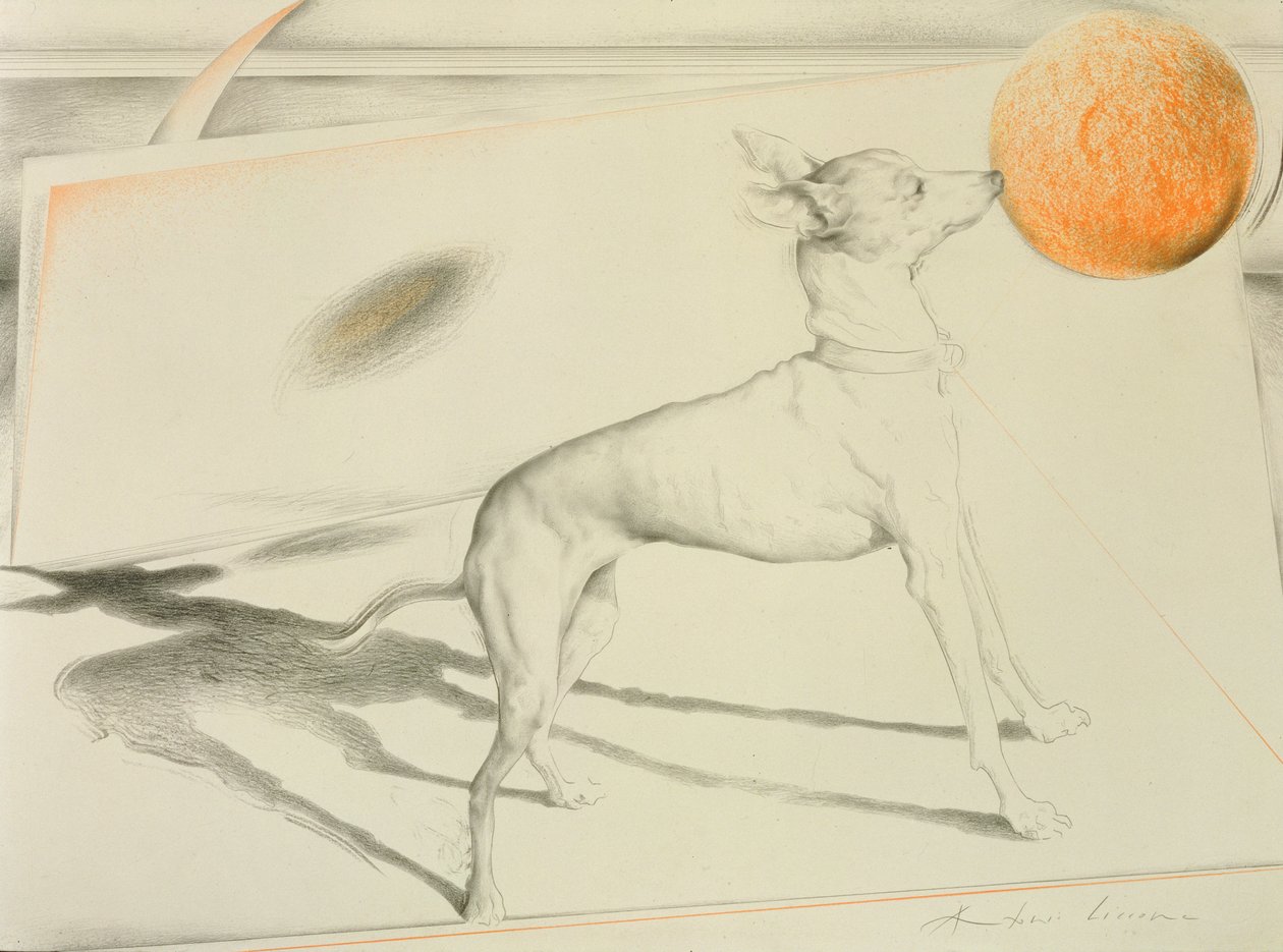 Space Dog by Antonio Ciccone