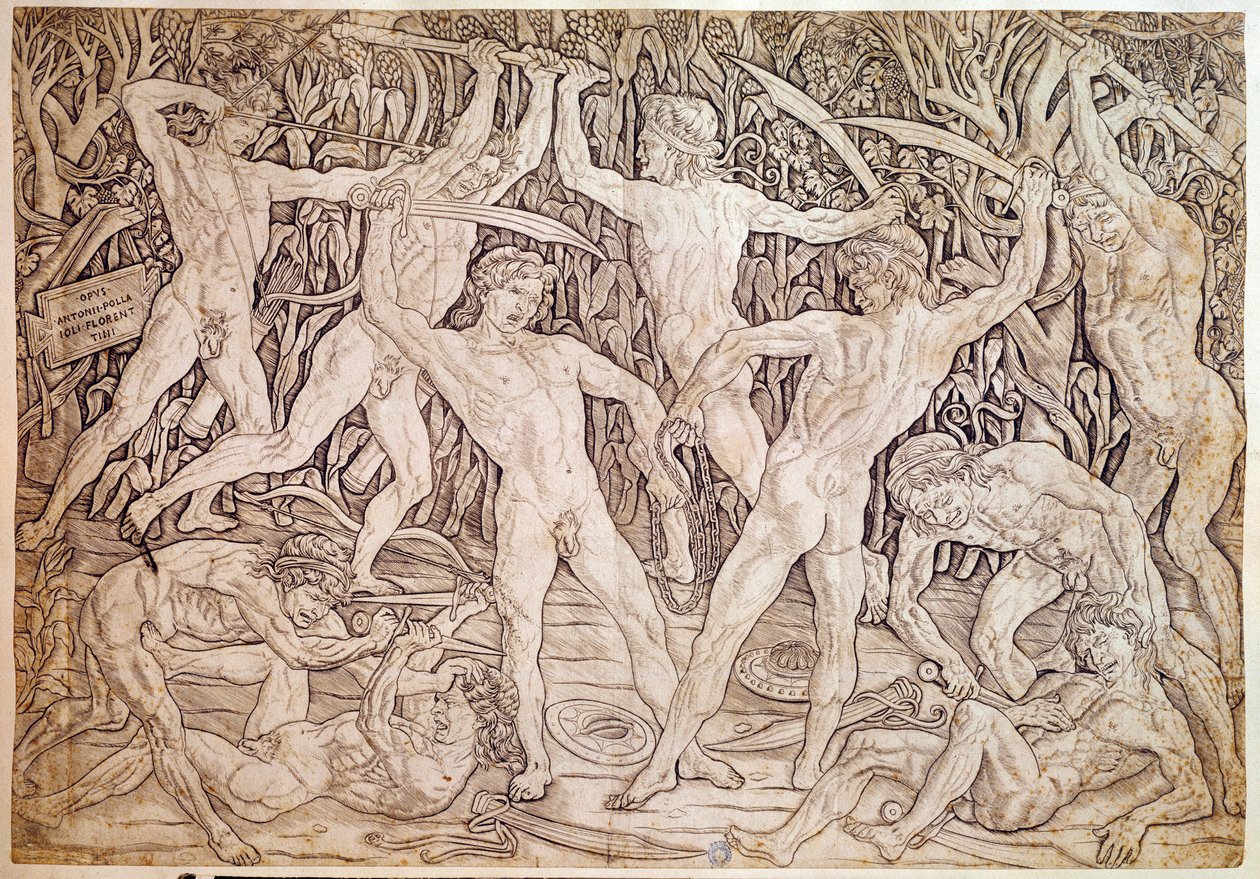 Naked Men Fight by Antonio Pollaiuolo