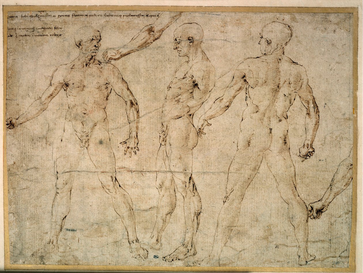 Three naked men. Drawing by Antonio Pollaiuolo by Antonio Pollaiuolo