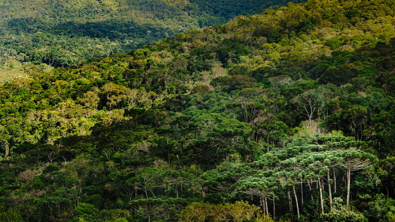 Mantiqueira LVIII, Brazil by Antonio Schubert