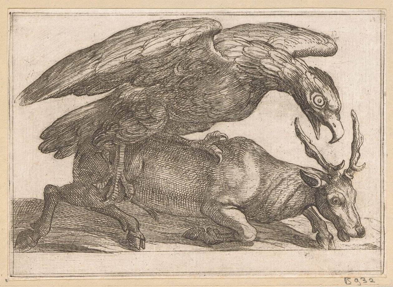 A Large Bird Attacks a Deer by Antonio Tempesta